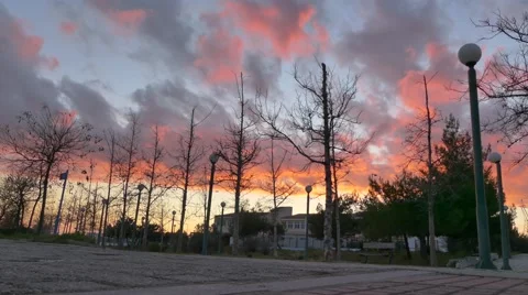 Nature time lapse Stock Footage 59377002
