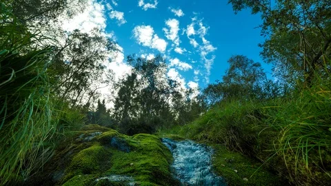 Nature timelapse Stock Footage 89494068
