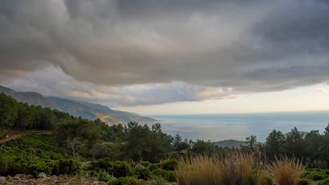 Nature Timelapse  Stock Footage 130153830