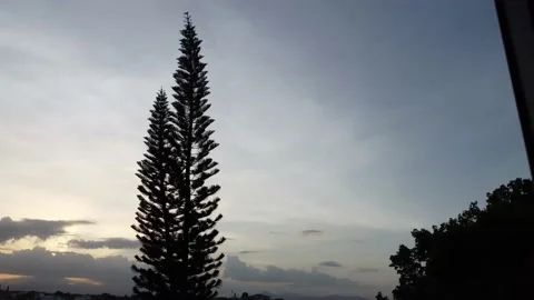 Nature timelapse Video stock 199522190