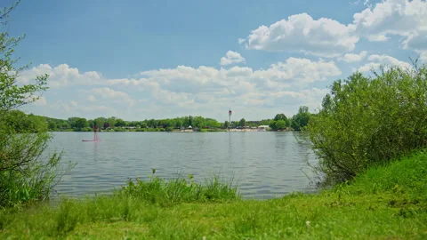 Nature Timelapse Wildlife Stock Footage 292454535