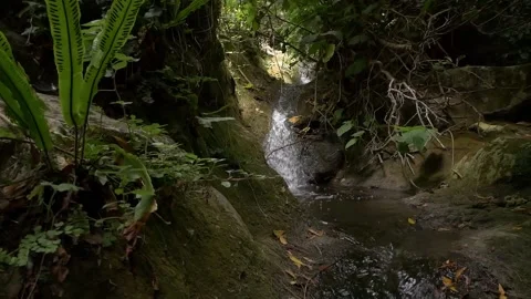 Nature torrent Stock Footage 141152434