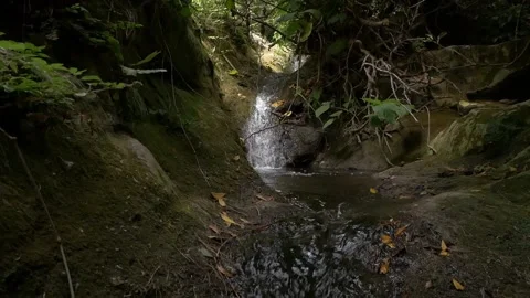 Nature torrent Stock Footage 141152769