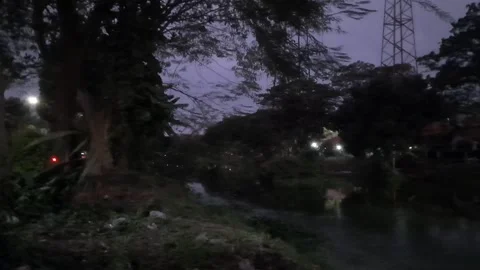 Nature in Town, Dark Night View Stock Footage 339075387