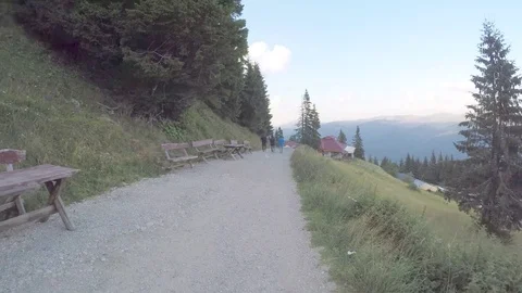 Nature Tracing 库存影片 79782790