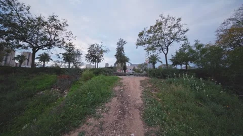 Nature Trail with Benidorm Skyline Stock Footage 332553752