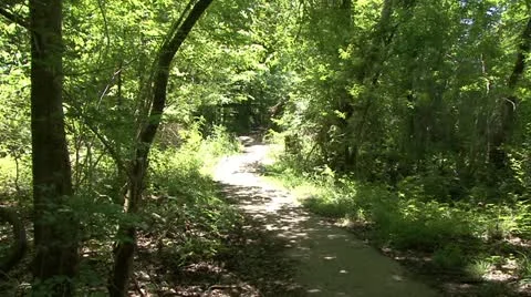 Nature trail Stock Footage 10900112