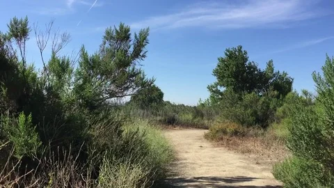 Nature Trail Stock Footage 75599695
