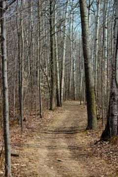 Nature trail in the park Stock Photos