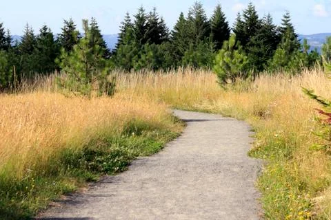 Nature trail 库存照片