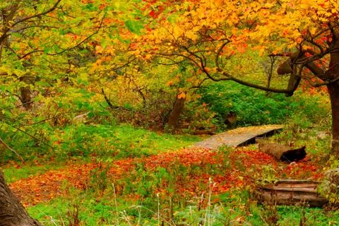 Nature trail Stock Photos