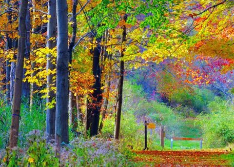 Nature trail Stock Photos