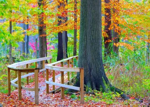 Nature trail Stock Photos