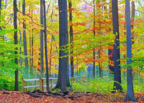 Nature trail Stock Photos