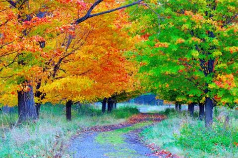 Nature trail Stock Photos