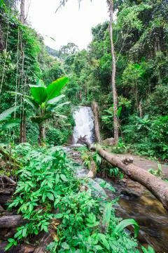Nature trail Stock Photos