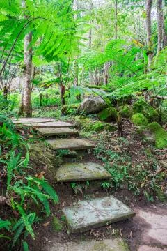Nature trail Stock Photos