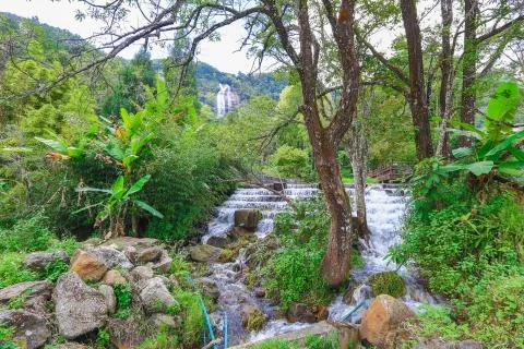 Nature trail Stock Photos