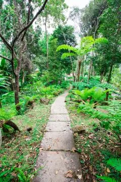 Nature trail Stock Photos