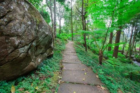 Nature trail Stock-Fotos