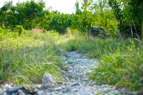Nature Trail Foto stock