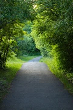 Nature trail Stock Photos
