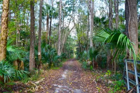 Nature-Trail Stock Photos