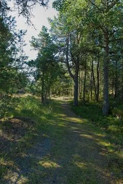 Nature trail. Foto stock