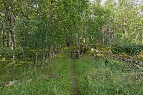 Nature trail. Stock Photos