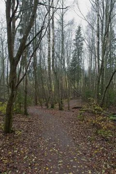 Nature trail. Foto stock