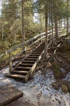 Nature trail. Foto stock
