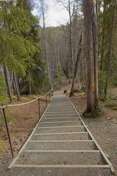 Nature trail. Stock Photos