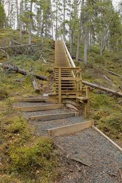 Nature trail. Stock Photos
