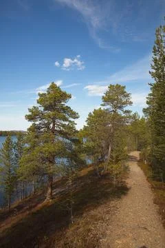 Nature trail. Stock Photos