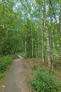 Nature trail. Stock Photos