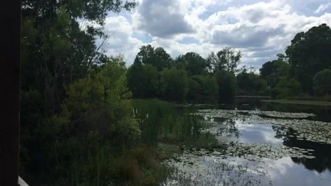 Nature trail pond 库存影片 136925952