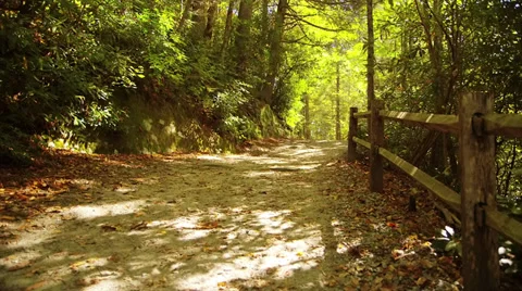 Nature trail - static Stock-Footage 32076960