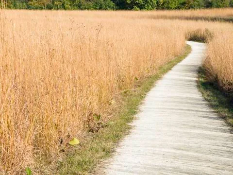 Nature trail through grass Stock Photos