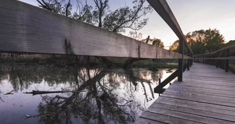 Nature Trail Timelapse Stock Footage 133120076