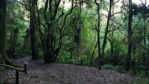 Nature trails Stock-Footage 76445225