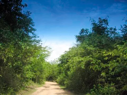 Nature trails Stock Photos
