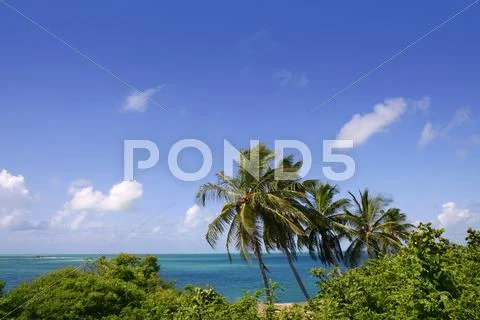 Nature travel Stock Photos