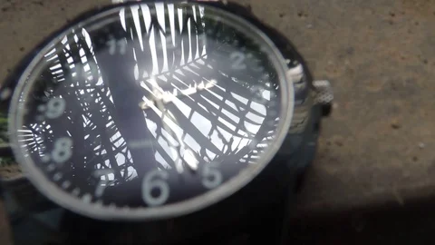 Nature tree leaves reflection on analog wrist watch clock face time hand passing Video stock 128357799
