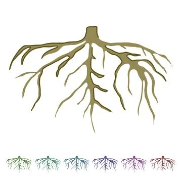 Nature tree root vector cartoon graphic Stockillustratie