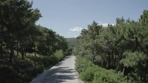 Nature with trees and the empty road by drone footage  Stock Footage