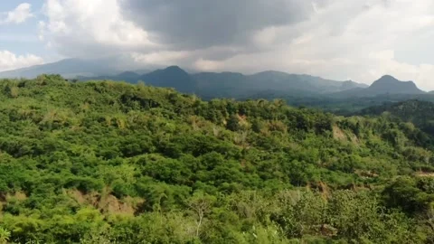 Nature Tropical Forest - View Drone Stock Footage 236763369