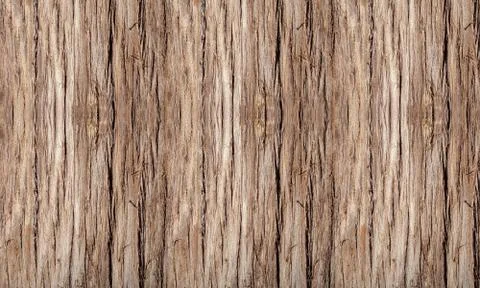 Nature trunk bark tree tree photo background Stock Photos