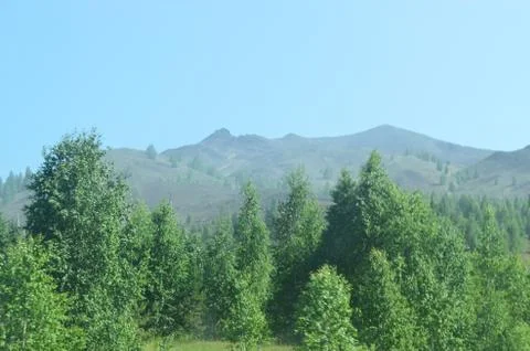 Nature in the Ural Mountains Stock Photos