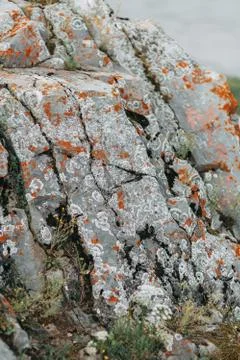 Nature of the Urals Stock Photos