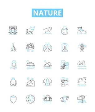 Nature vector line icons set. Wild, Outdoors, Environment, Landscape, Trees Stock Illustration